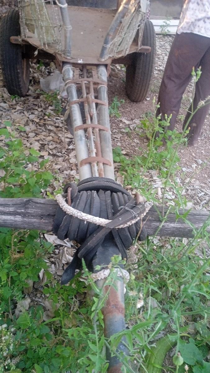 थंबनेल 3