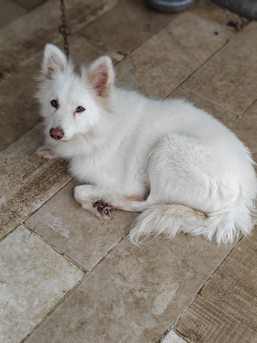 ફિમેલ છે વેચવાની3500