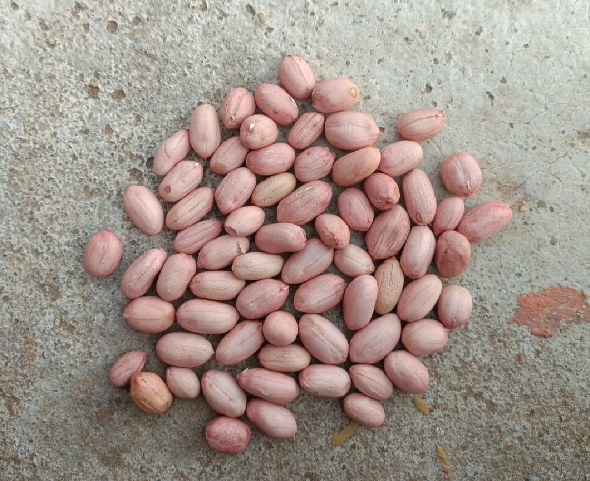 थंबनेल 3