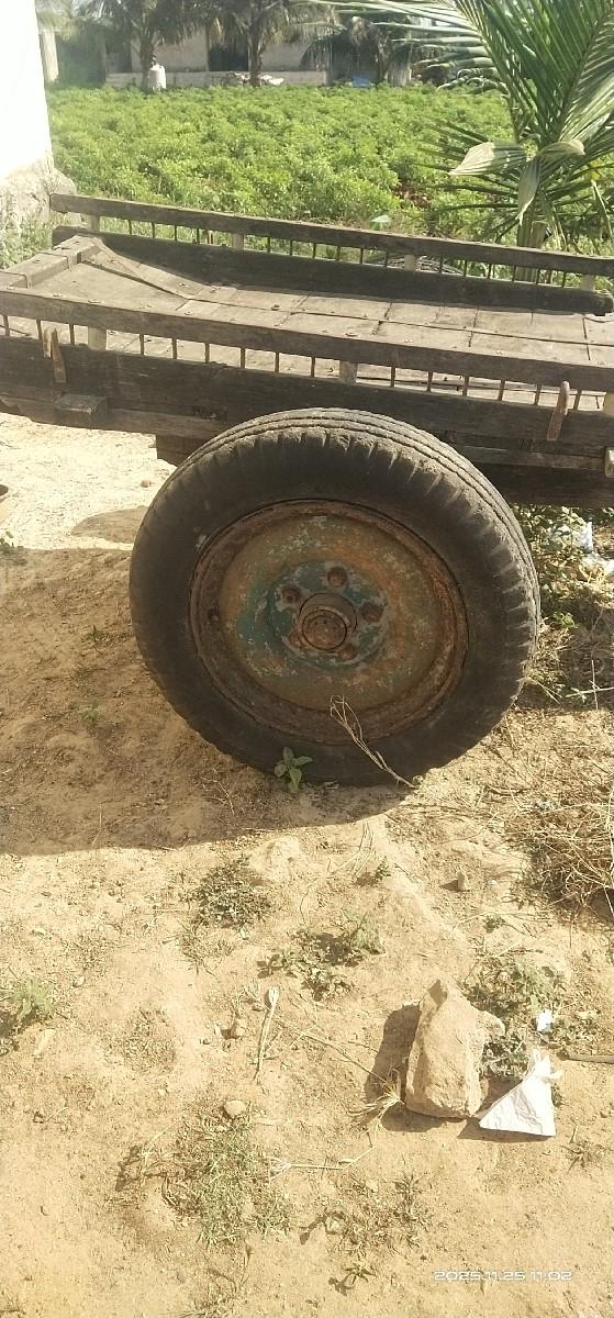 થંબનેલ 2