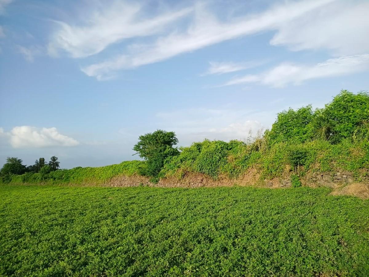 જમીન વેચવાની છે