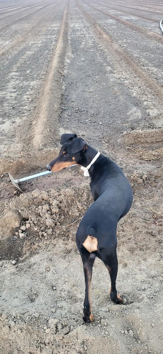 થંબનેલ 2