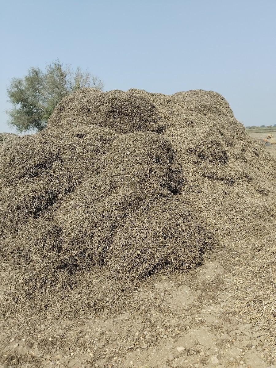 ભુકો વેચવાનો સે પલરેલો સે થોડોક