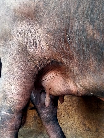 थंबनेल 3