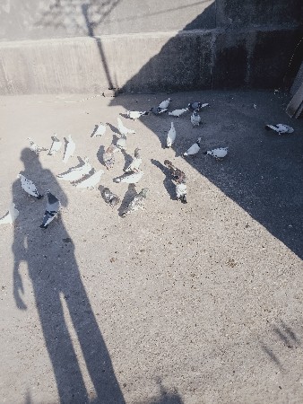 થંબનેલ 3