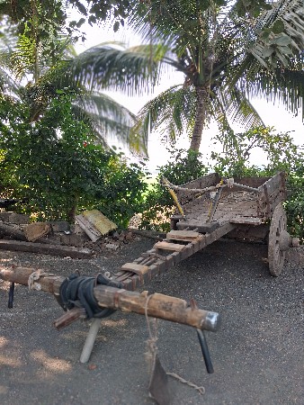 थंबनेल 3