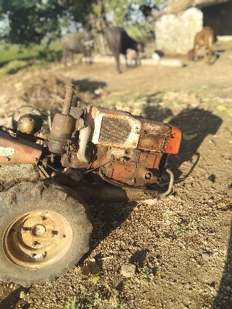 શિંગડા વાળું ટ્રેક્ટર