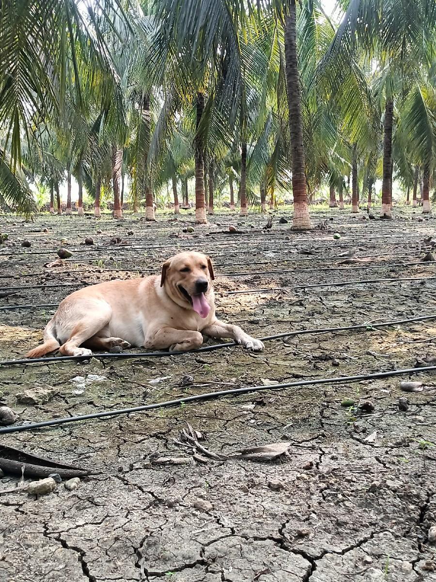 થંબનેલ 2