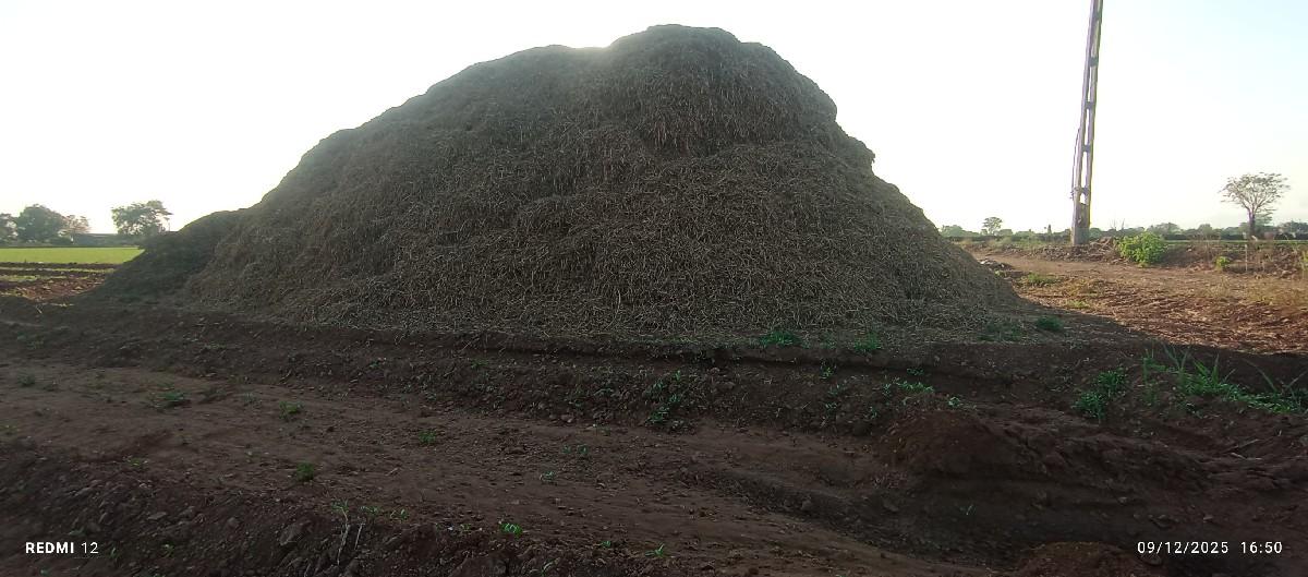 માંડવી નો ભૂકો વેચવાનો છે