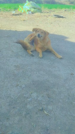 થંબનેલ 2