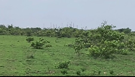 જમીન વેચવાની છે