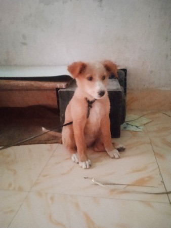 થંબનેલ 3