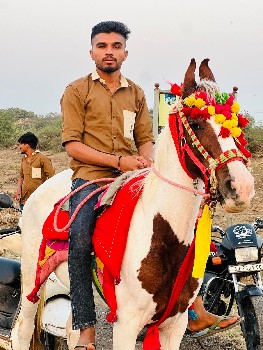 ઘોડી વેચવા ની છે એક આંખ બાડી છે