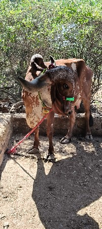 थंबनेल 2