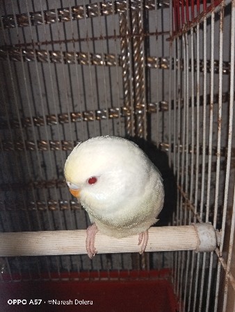 थंबनेल 2