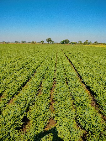 જમીન વેચવાની છે