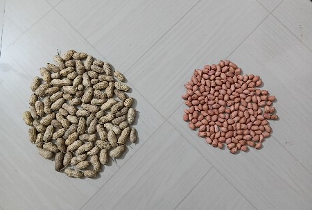 મગફળી જી ૨૨,બીયારણ મા વેચવા ની