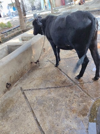 थंबनेल 2