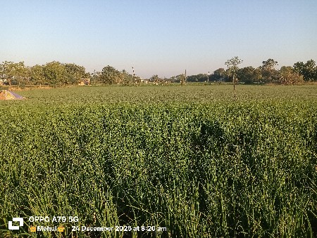 थंबनेल 3