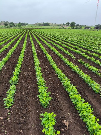 જમીન વેચવાની છે