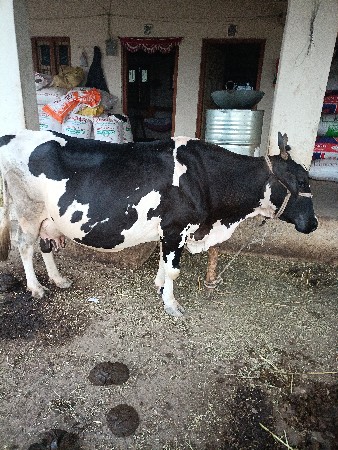 થંબનેલ 2