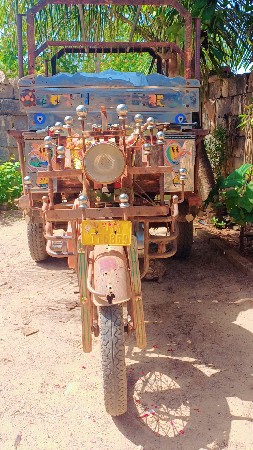 થંબનેલ 3