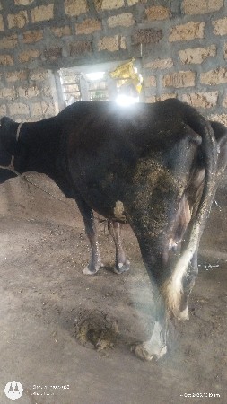 थंबनेल 2