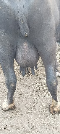 થંબનેલ 1