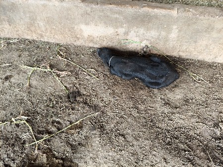 થંબનેલ 6