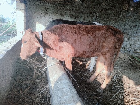 थंबनेल 3