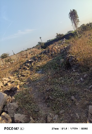 1 ak vigo plot vesvano se bin khti