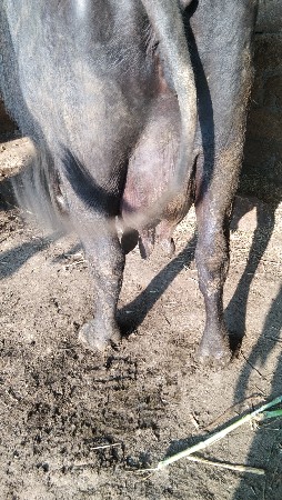 थंबनेल 2