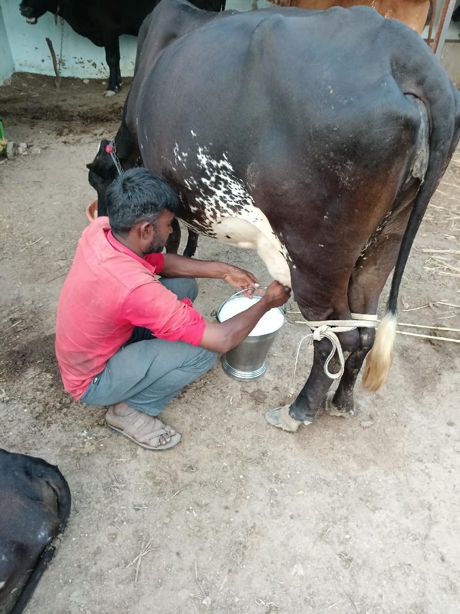 થંબનેલ 3