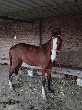 થંબનેલ 2