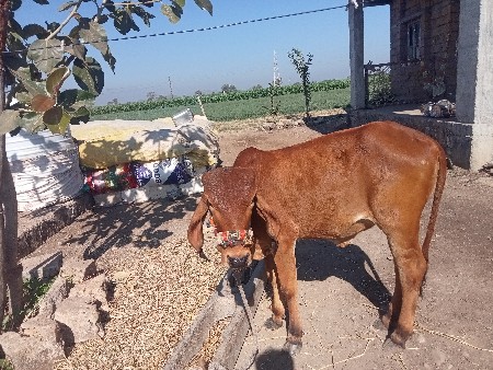 थंबनेल 3