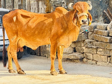 थंबनेल 3