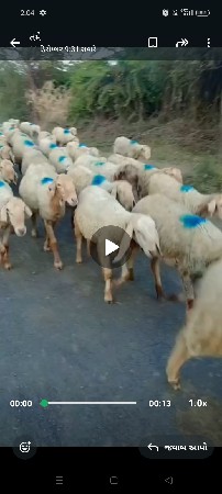 થંબનેલ 2