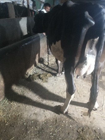 थंबनेल 2