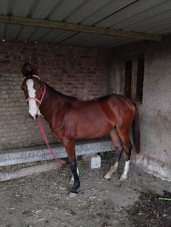 थंबनेल 2