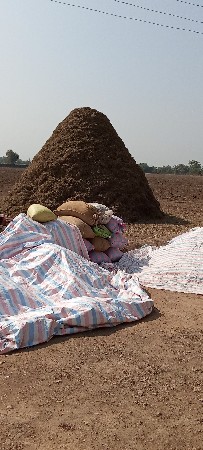 ભૂકો વેચવાનો છે.