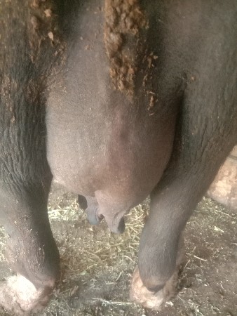 थंबनेल 4