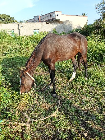 થંબનેલ 2