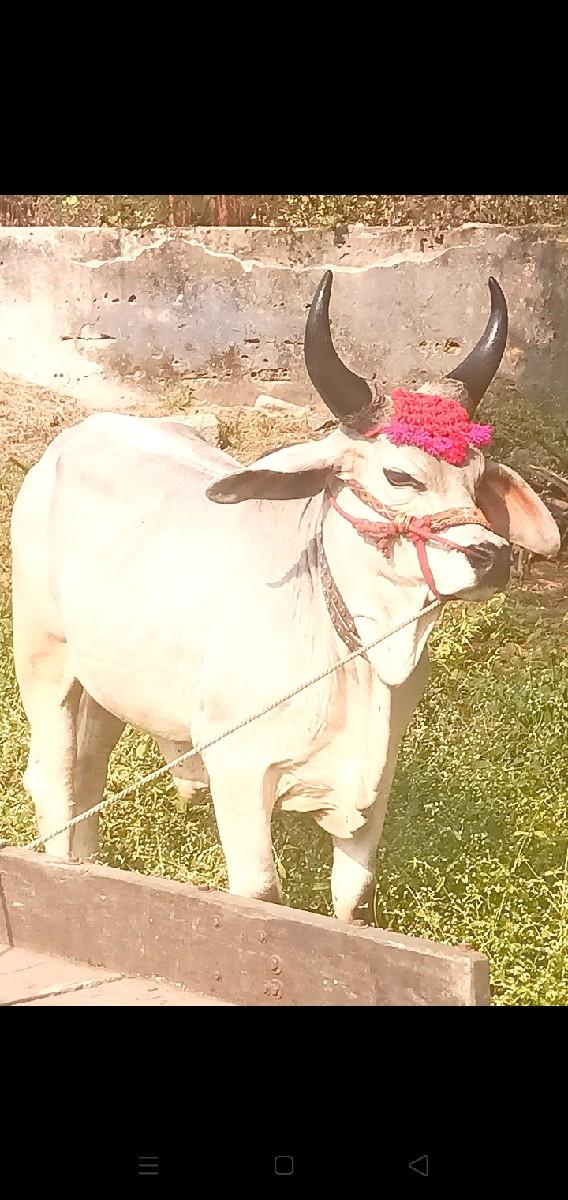 थंबनेल 1