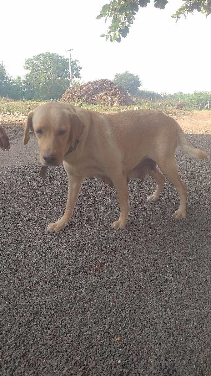 થંબનેલ 3