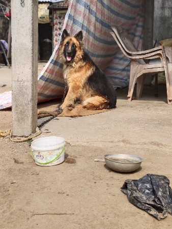 મેલ વેચવાનો છે