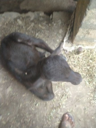 थंबनेल 1