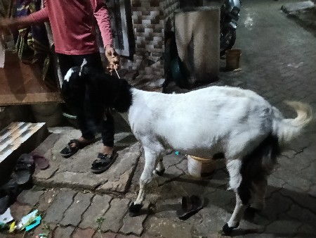 થંબનેલ 3