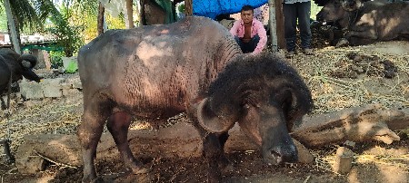 थंबनेल 3