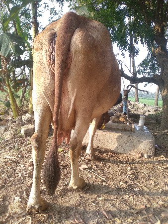 थंबनेल 1