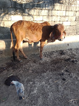 थंबनेल 3